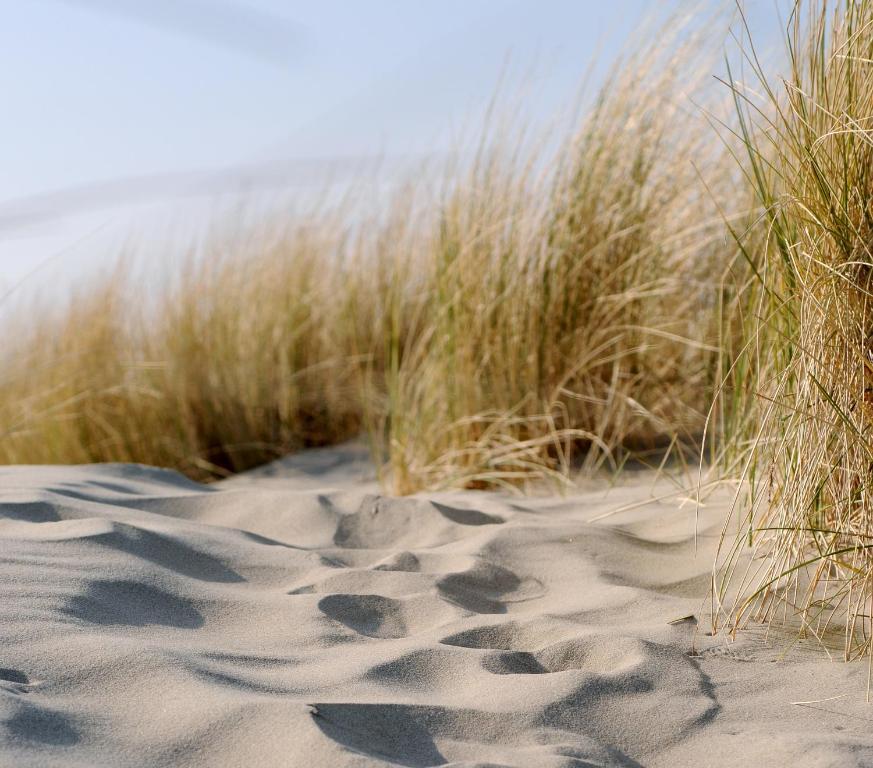 Fletcher Landgoedhotel Renesse Rum bild